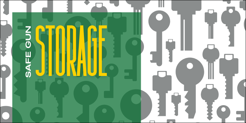  Safe Gun Storage